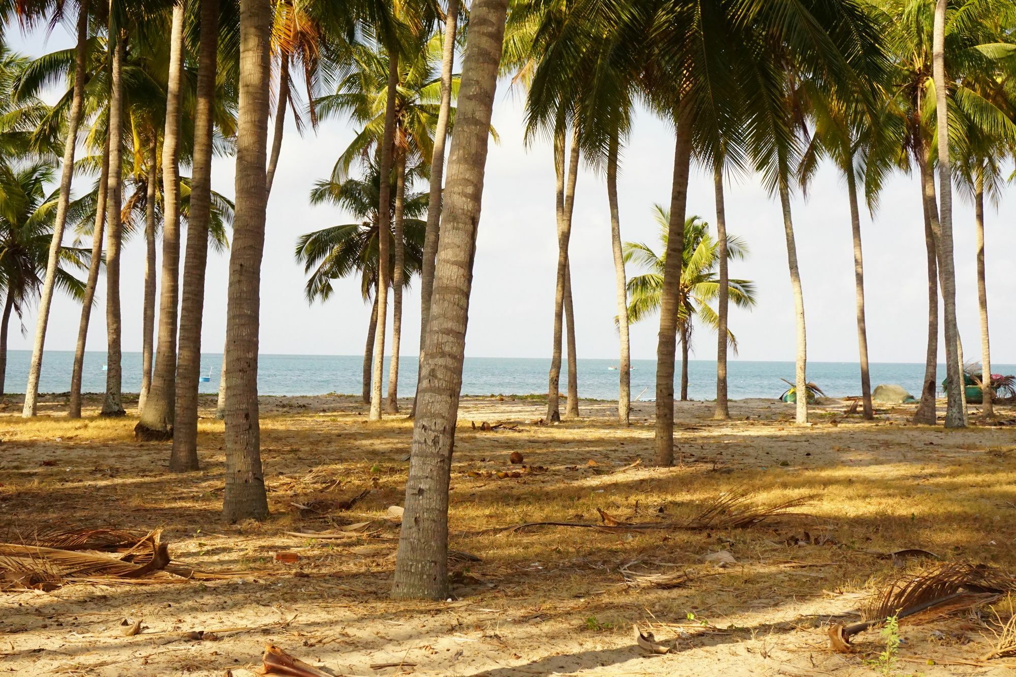 Cat Tien Guesthouse Mui Ne Exterior foto